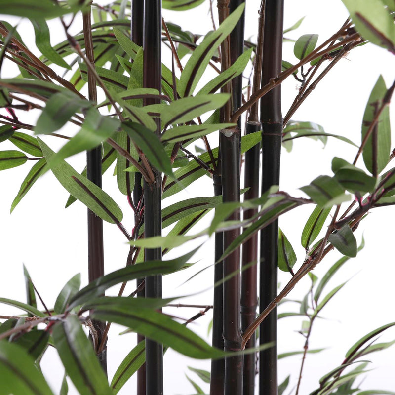 Mica Decorations bamboe h150 groen met zwarte stammen