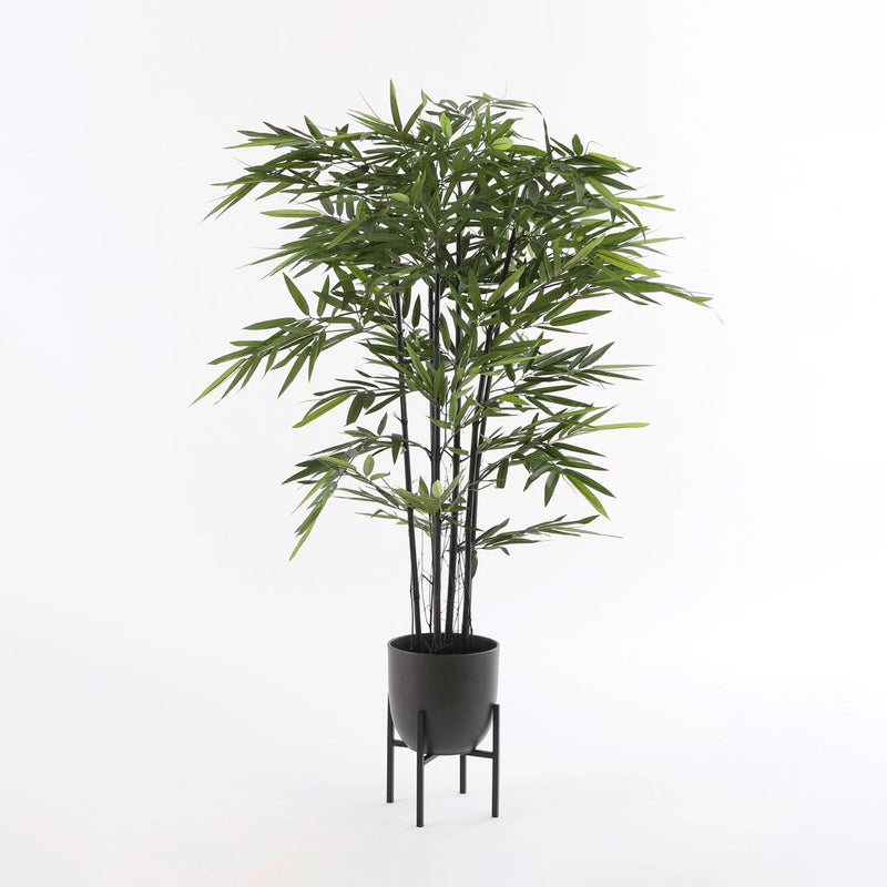 Mica Decorations bamboe h140d95 groen met zwarte stammen