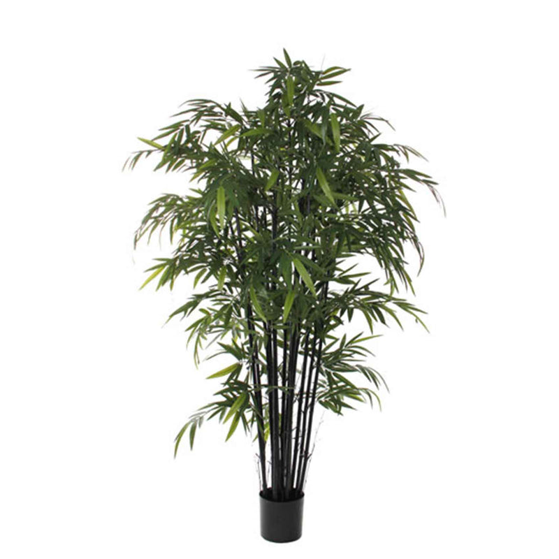 Mica Decorations bamboe h200d100 groen met zwarte stammen