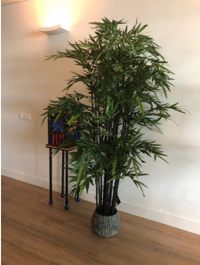 Mica Decorations bamboe h200d100 groen met zwarte stammen