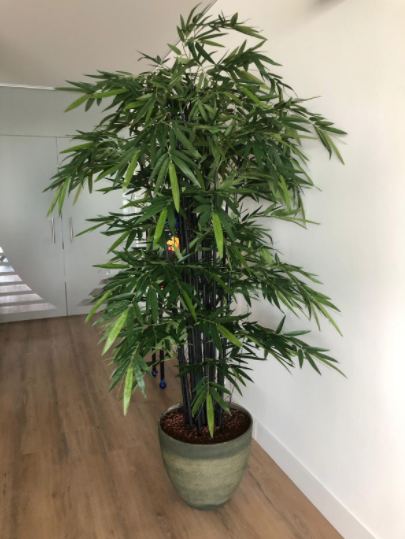 Mica Decorations bamboe h200d100 groen met zwarte stammen