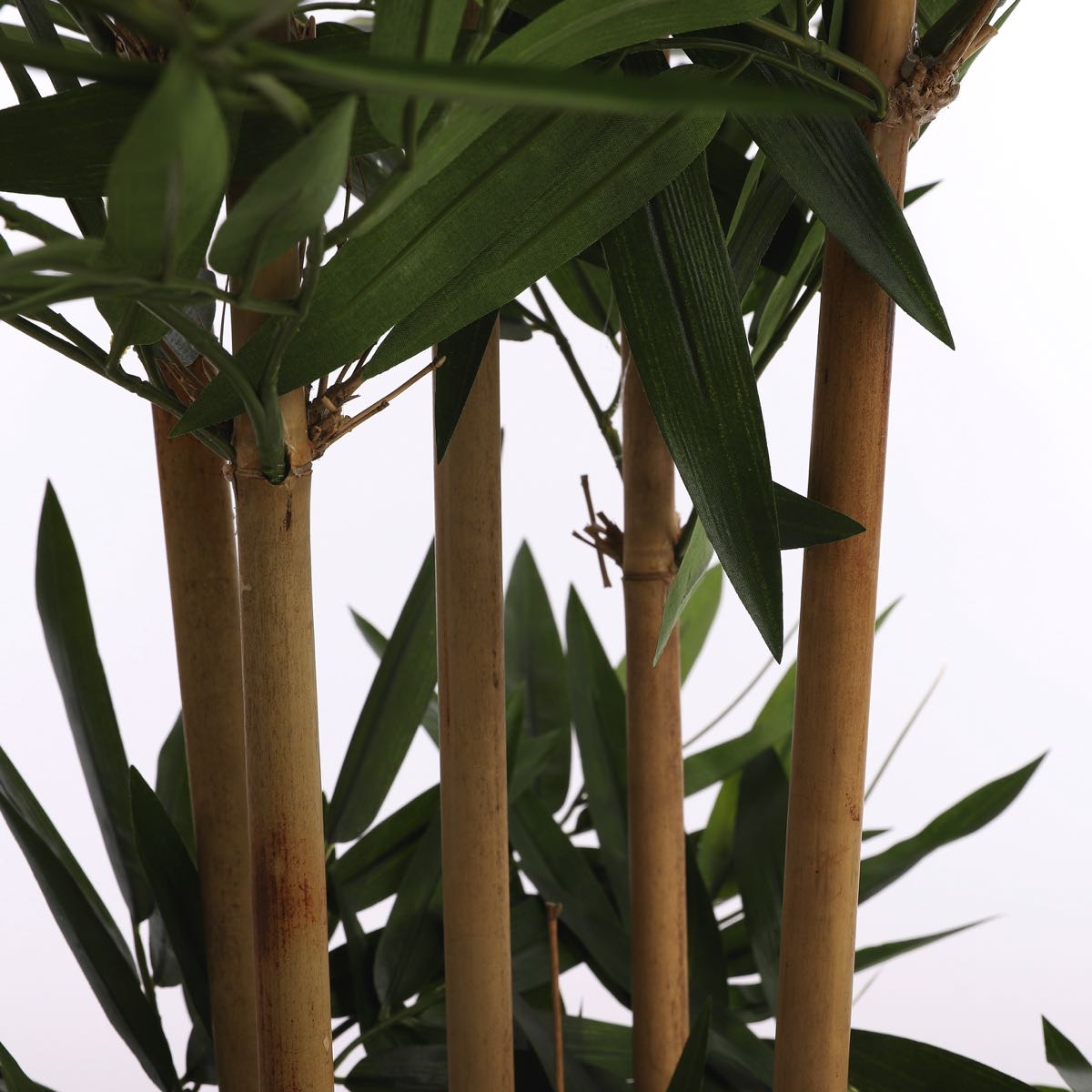 Mica Decorations bamboe groen in plastic pot maat in cm: 140 x 100