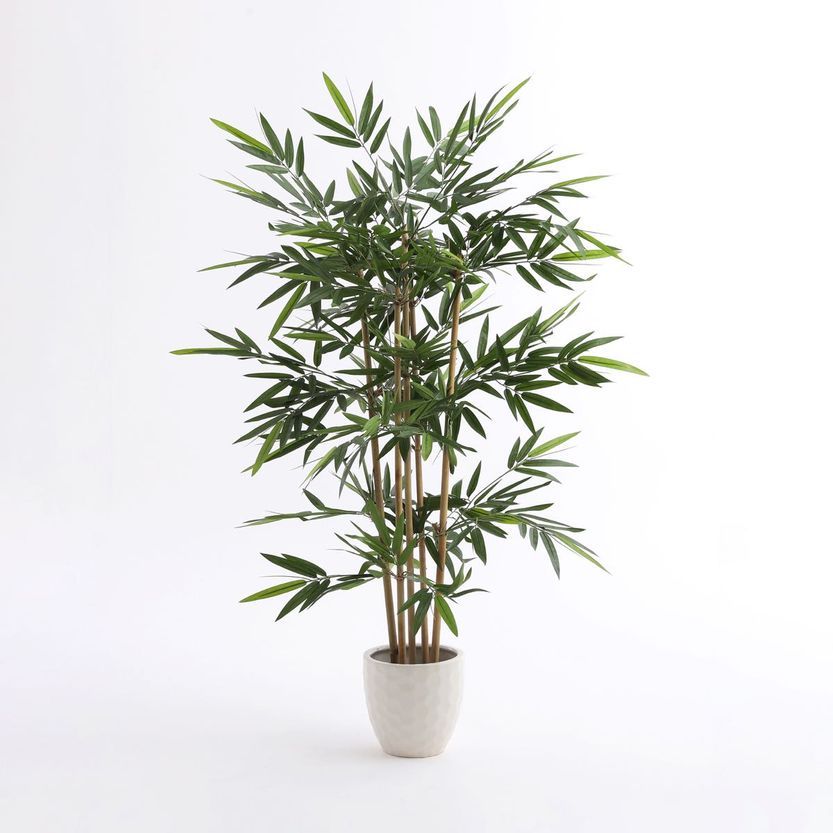 Mica Decorations bamboe groen in plastic pot maat in cm: 140 x 100