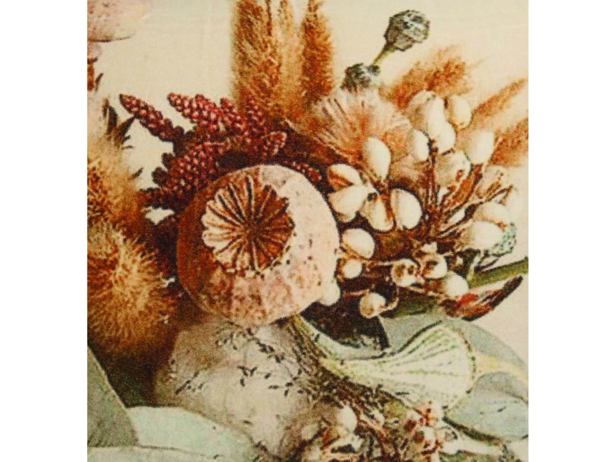 SVJ Droogbloemen Sierkussen - 45x45 cm - Fluweel - Beige
