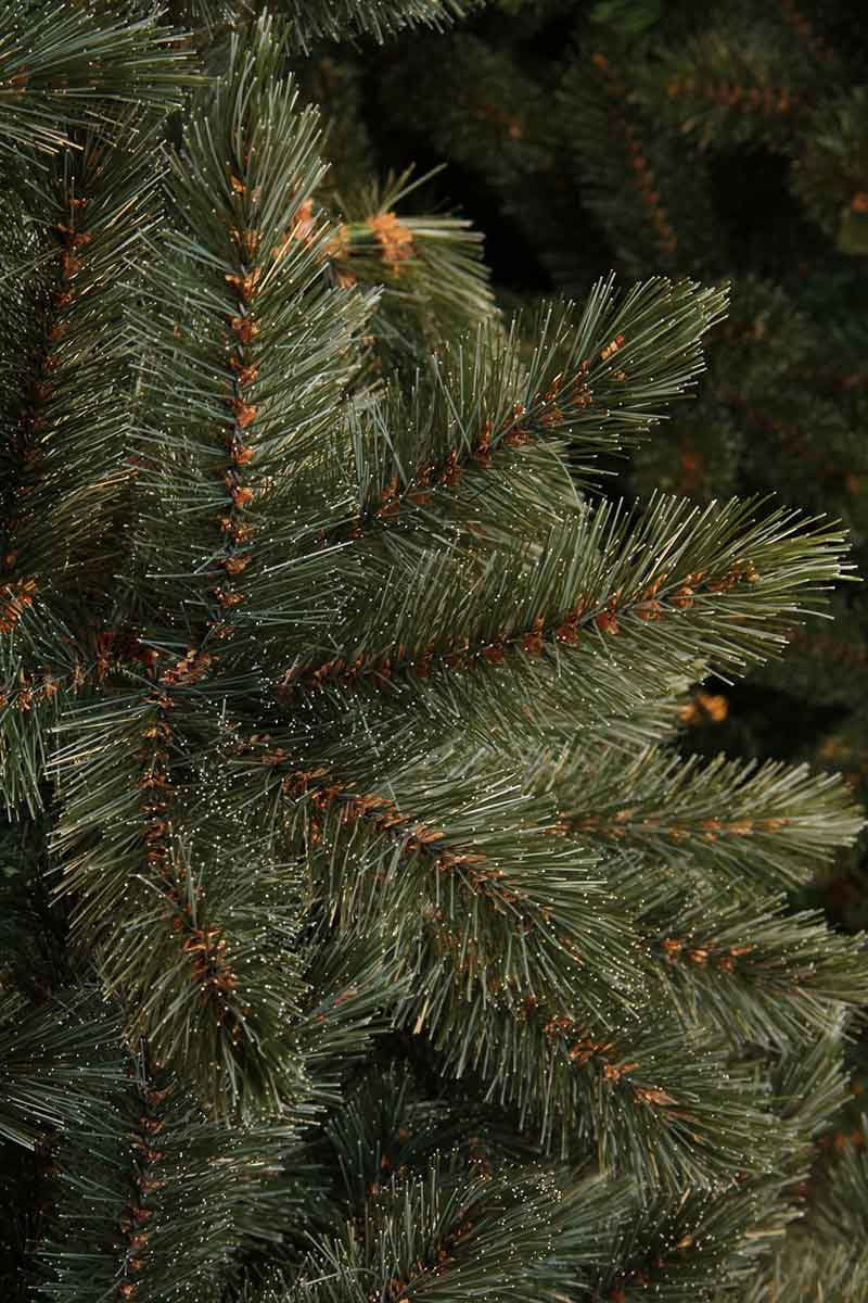 Triumph Tree kunstkerstboom forest frosted - 260x168 newgrowth blue