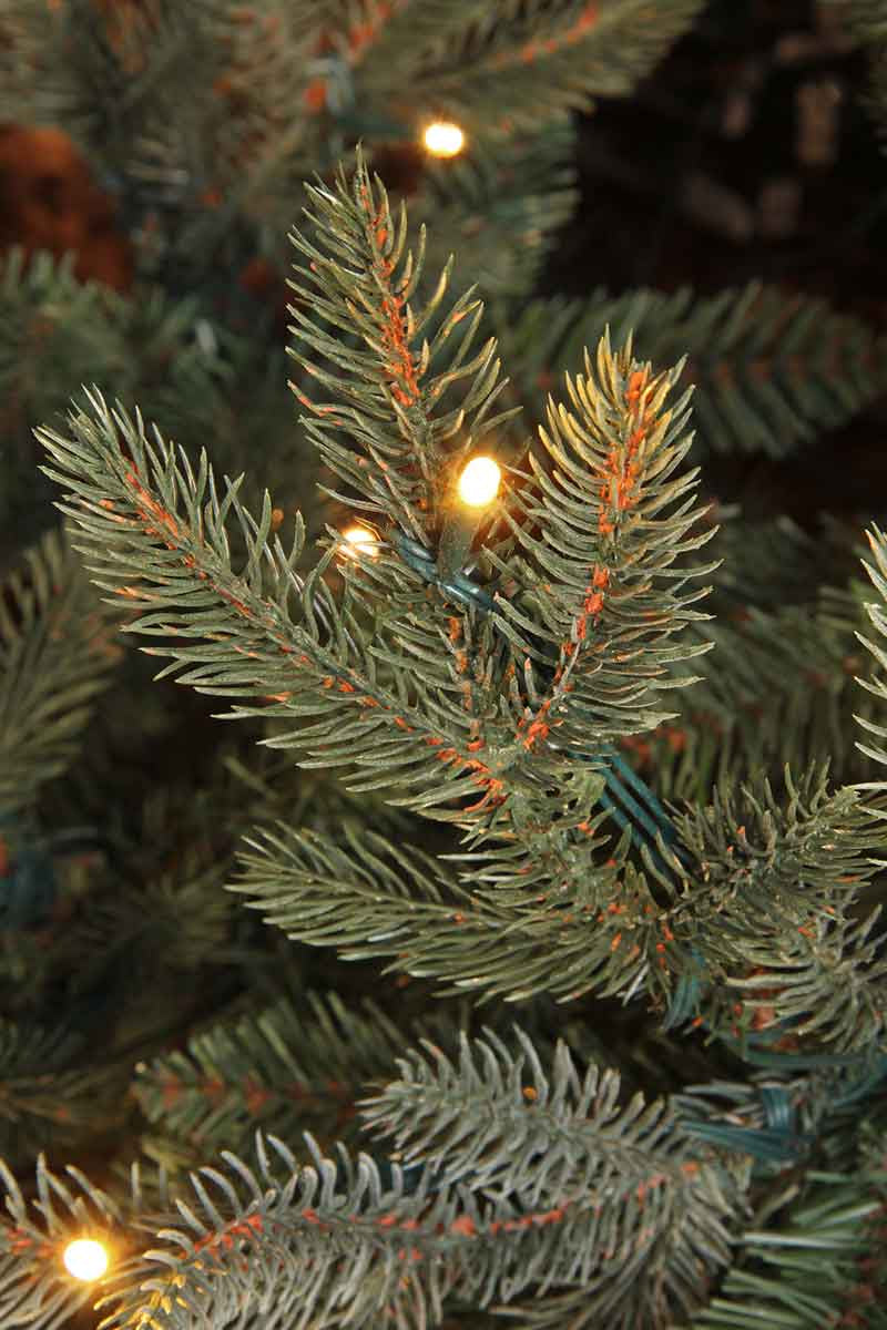 Black box kunstkerstboom led frasier fir - 185x124 blauw groen 288 led