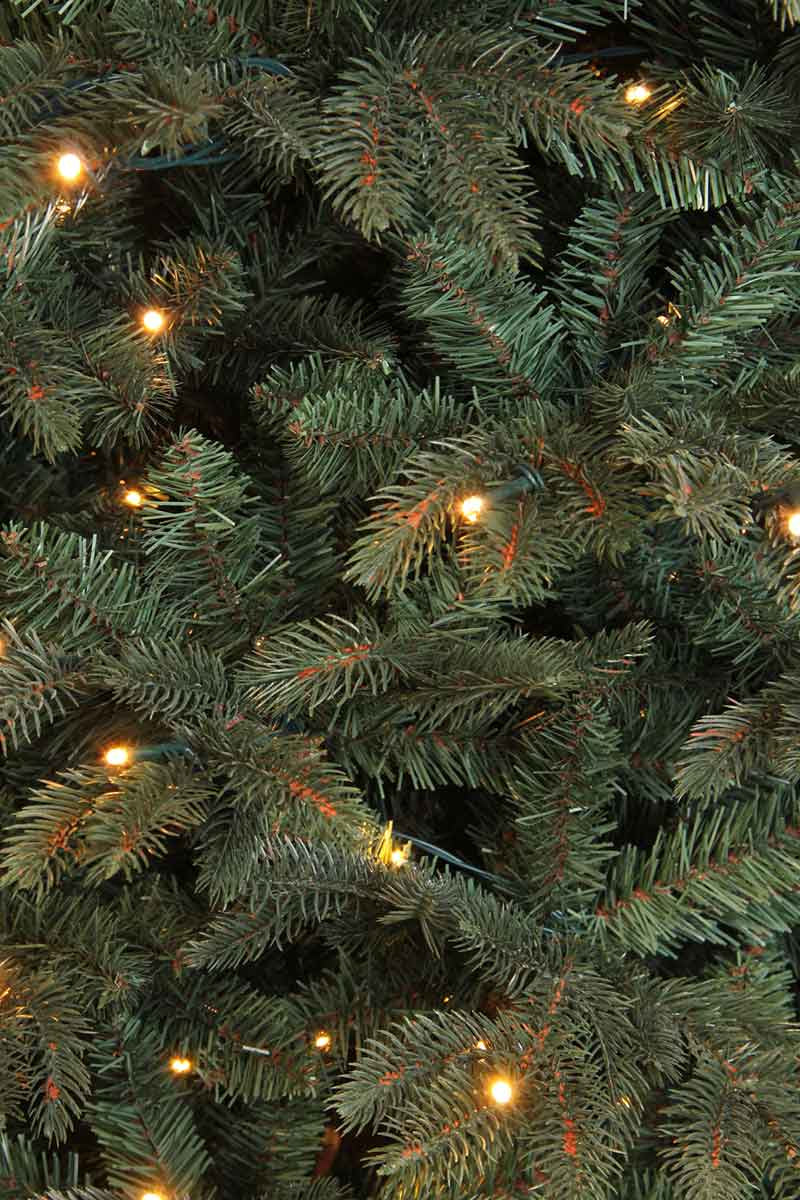 Black box kunstkerstboom led frasier fir - 185x124 blauw groen 288 led