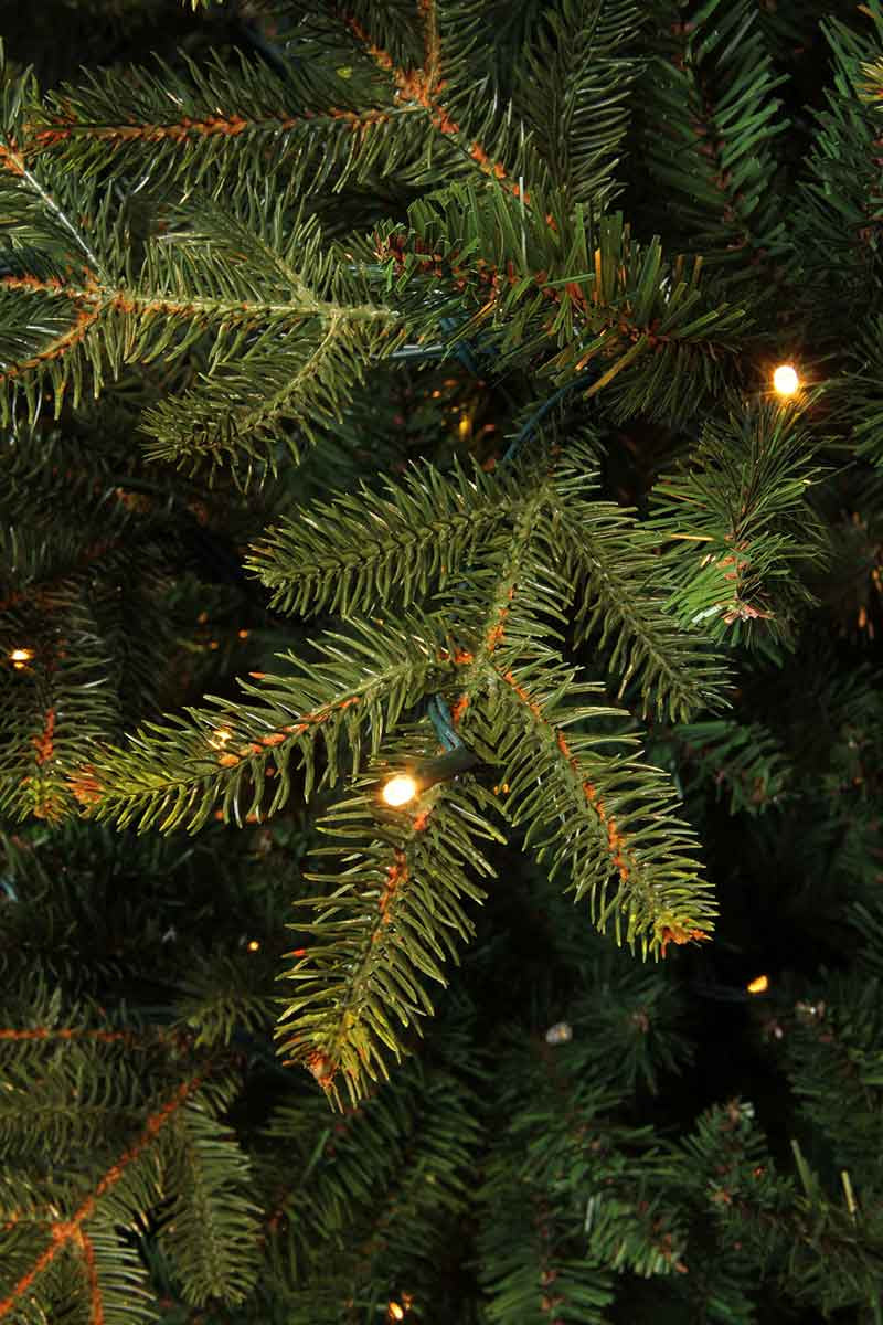 Black box Kunstkerstboom Frasier Fir - 140x102 cm - 168 LED Warmwit