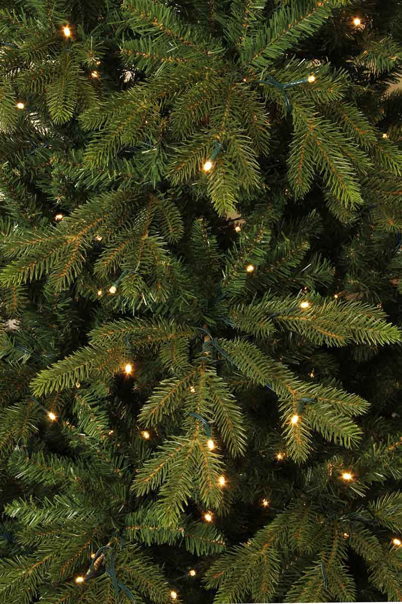 Black box - kerstboom led macallan pine - 215 x138 groen 384l